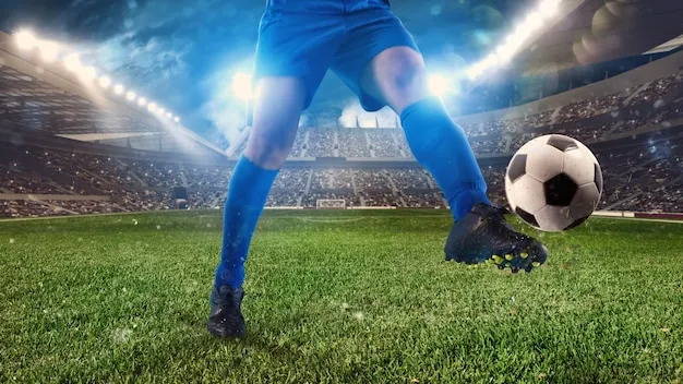 乐鱼体育H5移动端界面